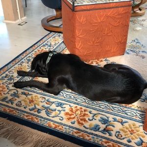 Meet your Posher, Victoria